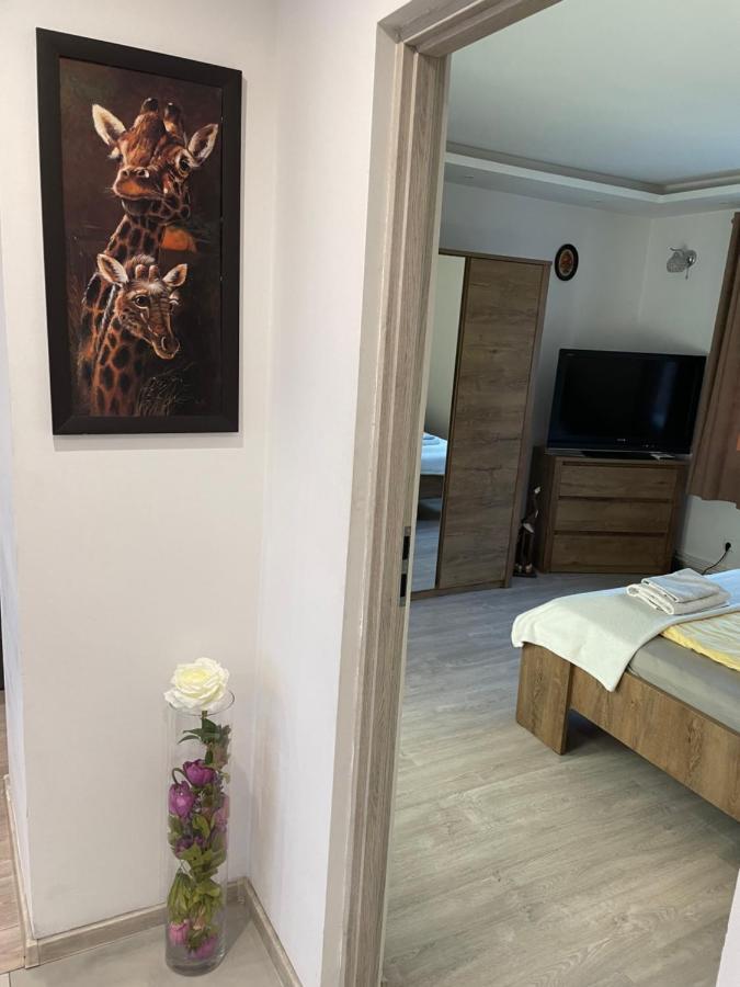 Prestige Apartment Elbląg Extérieur photo